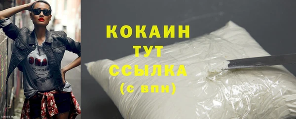 ГАЛЛЮЦИНОГЕННЫЕ ГРИБЫ Покров