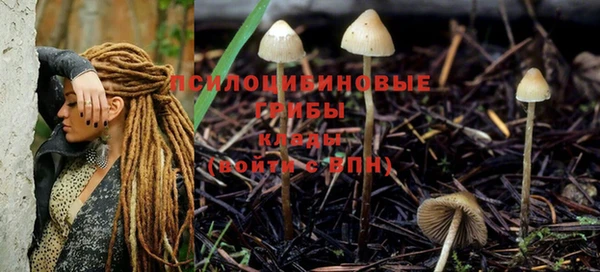mdpv Алзамай