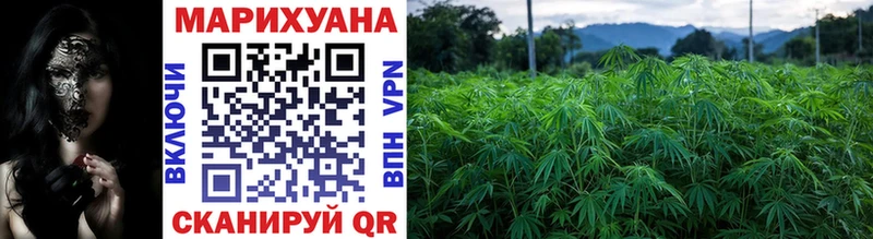 Шишки марихуана White Widow  Трубчевск 